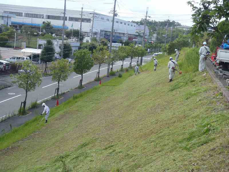 工事（植栽）